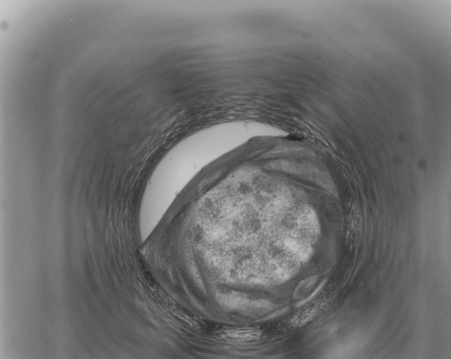 X0000061110659200512091818