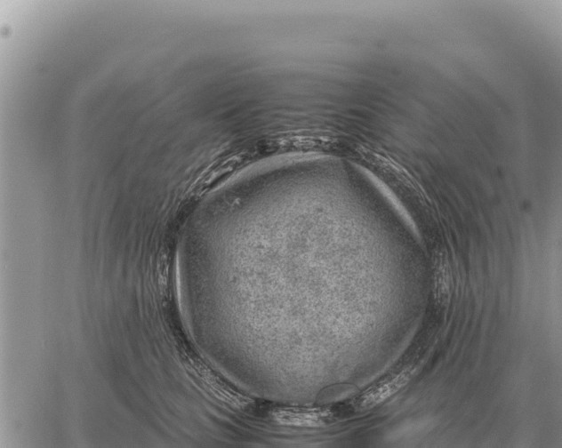 X0000061110661200512091818