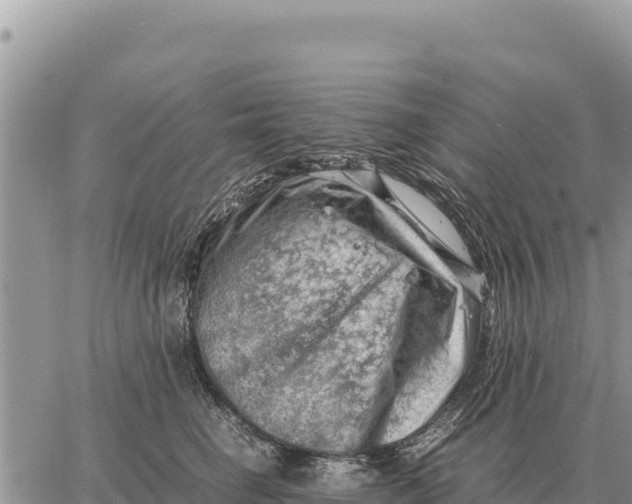 X0000061110662200512091818