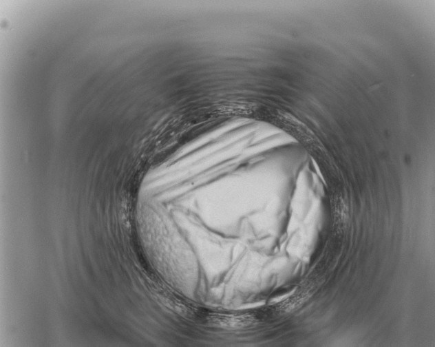 X0000061110663200512091818