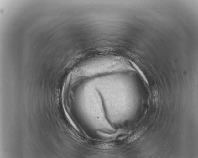 X0000061110664200512091818