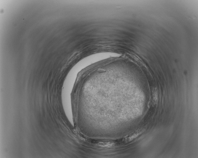 X0000061110667200512091819