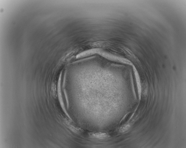 X0000061110669200512091819