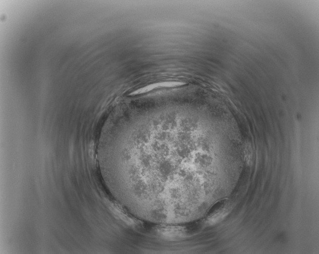 X0000061110670200512091819