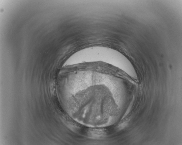 X0000061110671200512091819