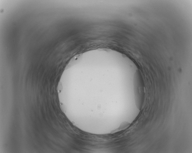 X0000061110672200512091819