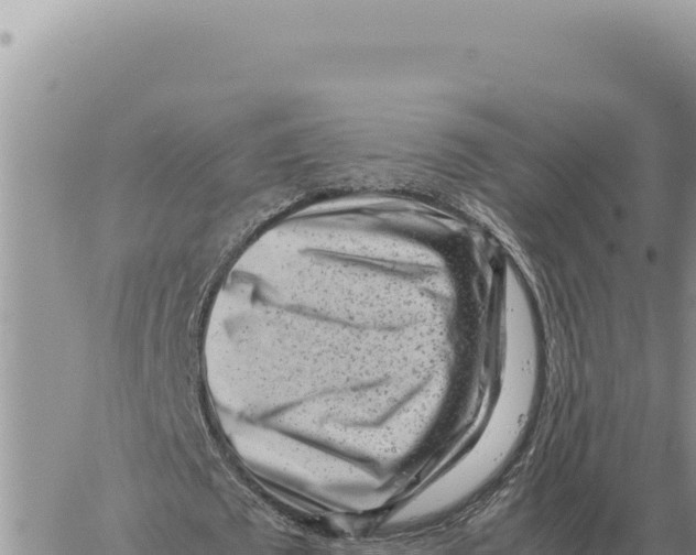 X0000061110673200512091818