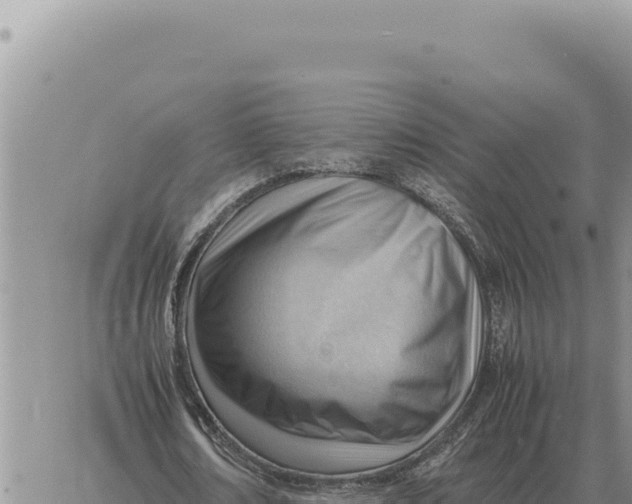 X0000061110674200512091818