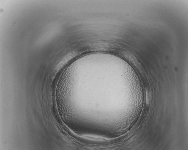 X0000061110675200512091818