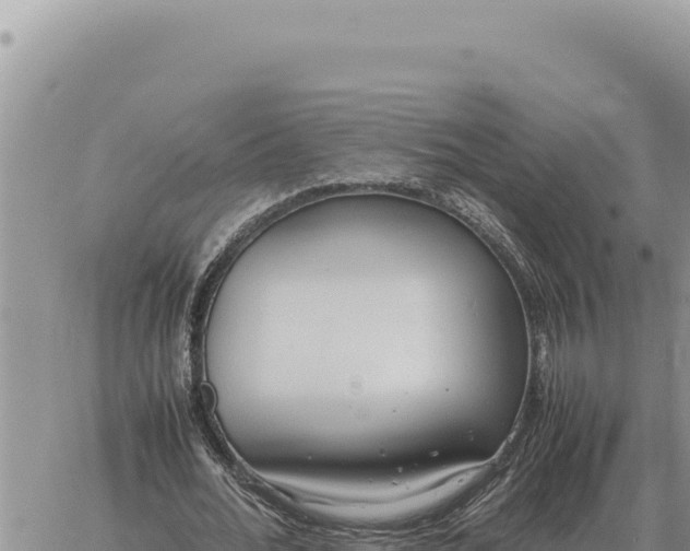 X0000061110676200512091818