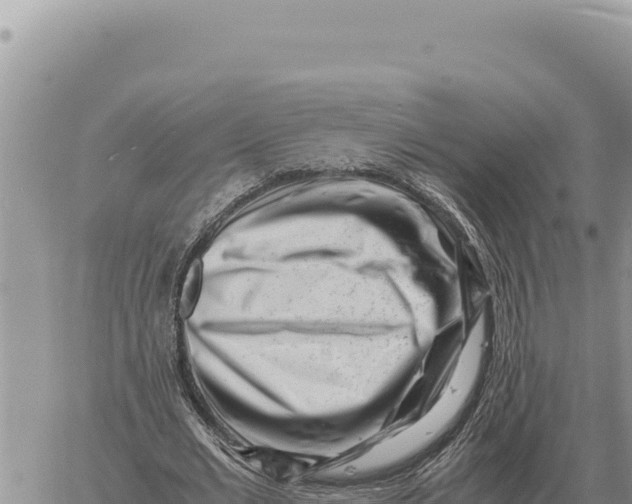 X0000061110677200512091818