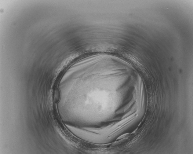 X0000061110678200512091818