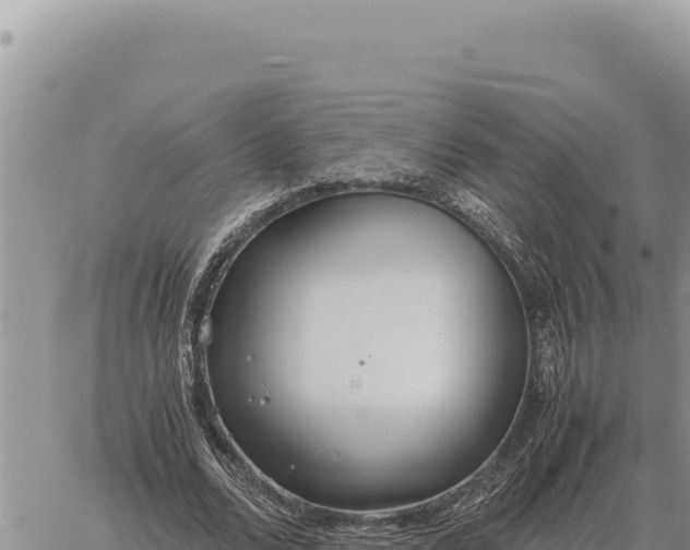 X0000061110680200512091818