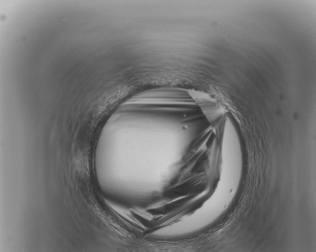 X0000061110681200512091818