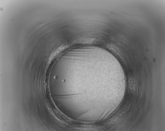 X0000061110682200512091818