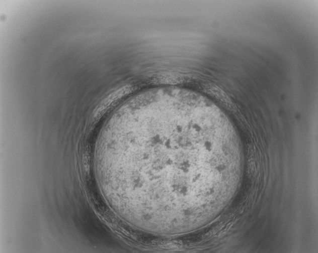 X0000061110683200512091818