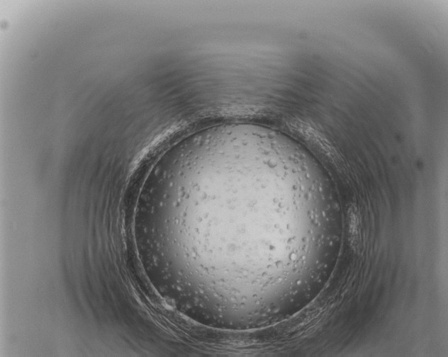 X0000061110684200512091818