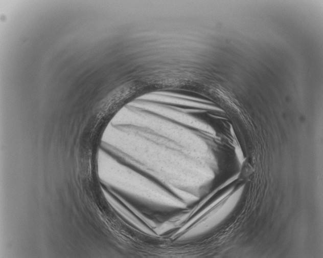 X0000061110685200512091818