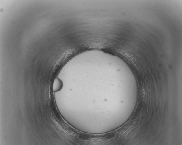 X0000061110686200512091818