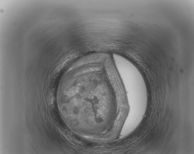 X0000061110687200512091818