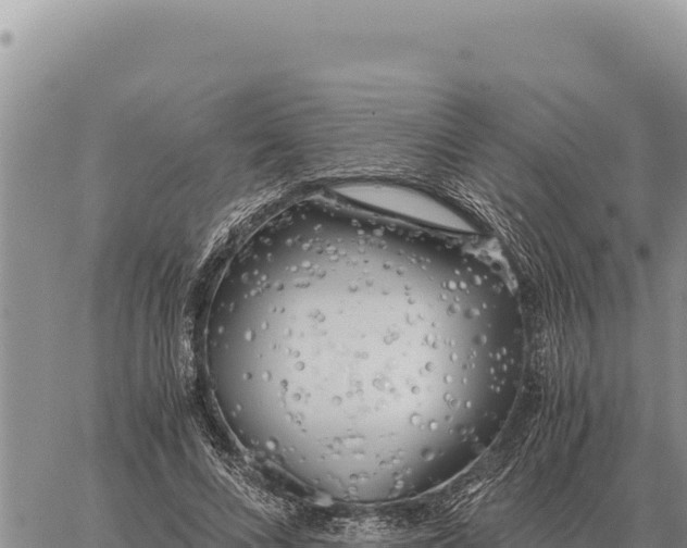 X0000061110688200512091818