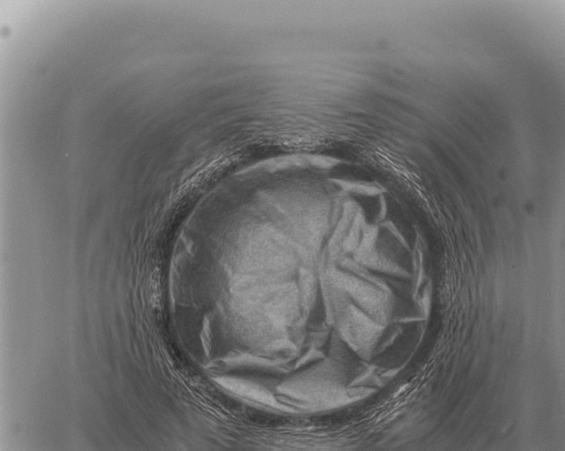 X0000061110689200512091818