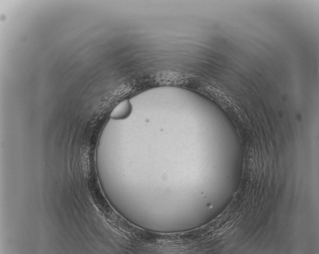 X0000061110690200512091818