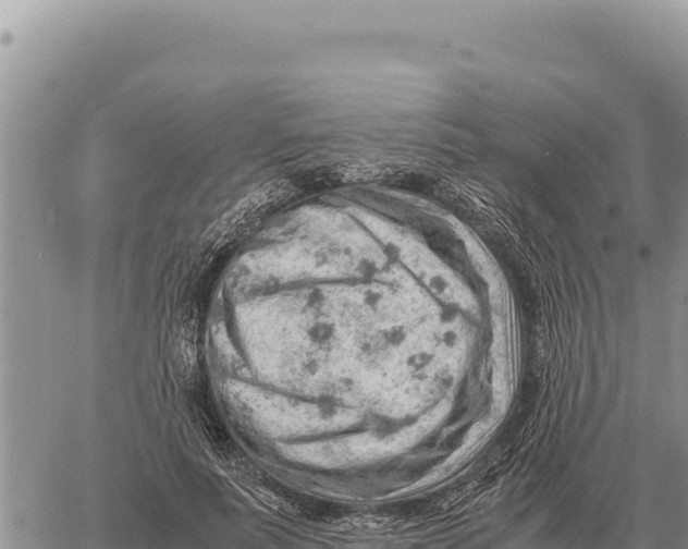 X0000061110691200512091818