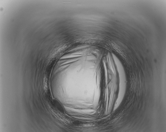 X0000061110692200512091817