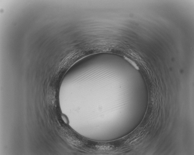 X0000061110693200512091817