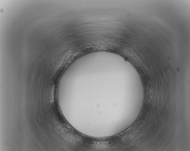 X0000061110694200512091817