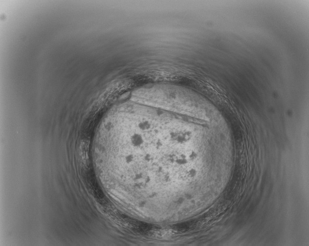 X0000061110695200512091817