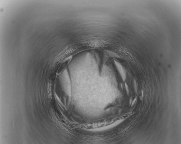 X0000061110696200512091817