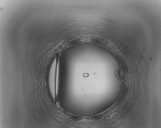 X0000061110697200512091817