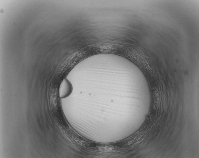 X0000061110698200512091817