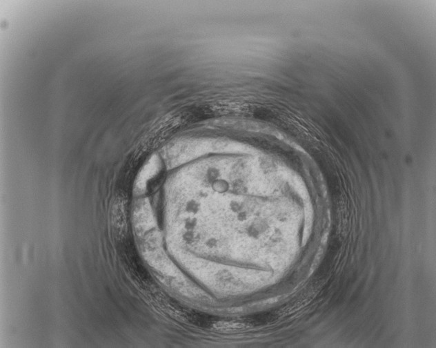 X0000061110699200512091817