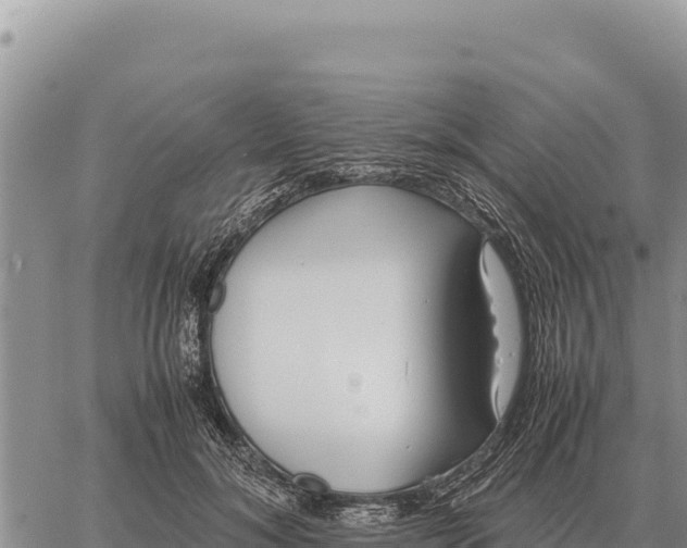 X0000061110700200512091817