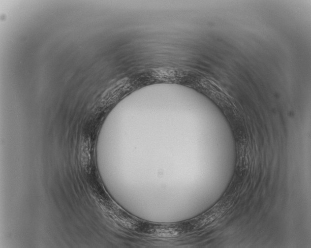 X0000061110702200512091817