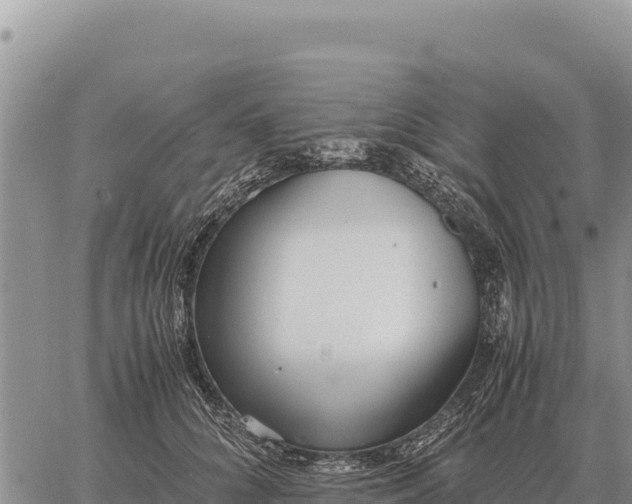 X0000061110704200512091817