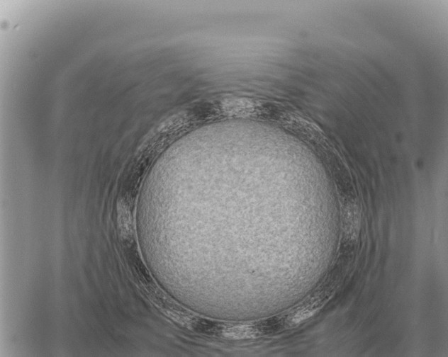 X0000061110705200512091817