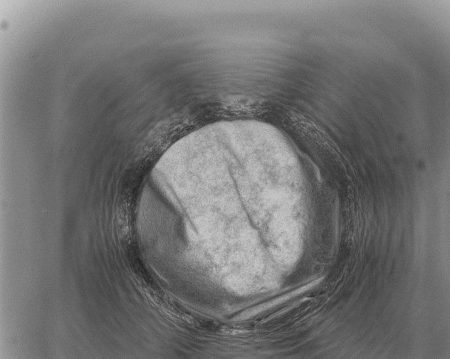 X0000061110706200512091817