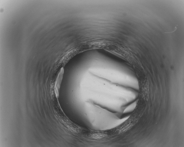 X0000061110708200512091817