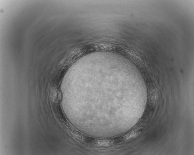 X0000061110709200512091817