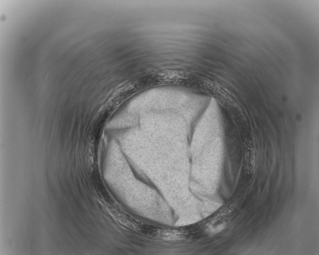 X0000061110710200512091817