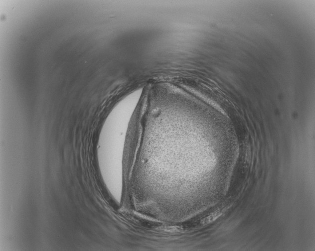 X0000061110711200512091817