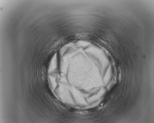 X0000061110712200512091817