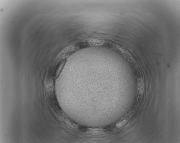 X0000061110713200512091817