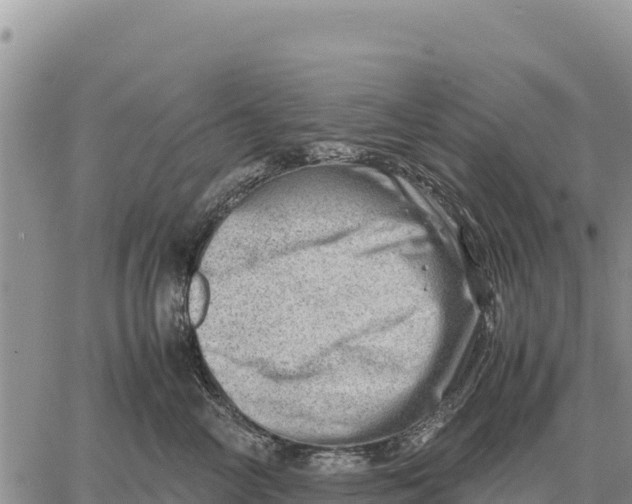 X0000061110714200512091817