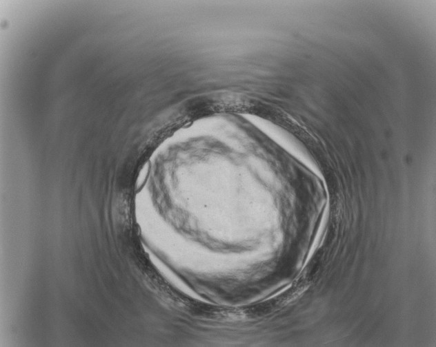 X0000061110715200512091817