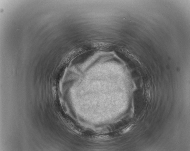 X0000061110716200512091817